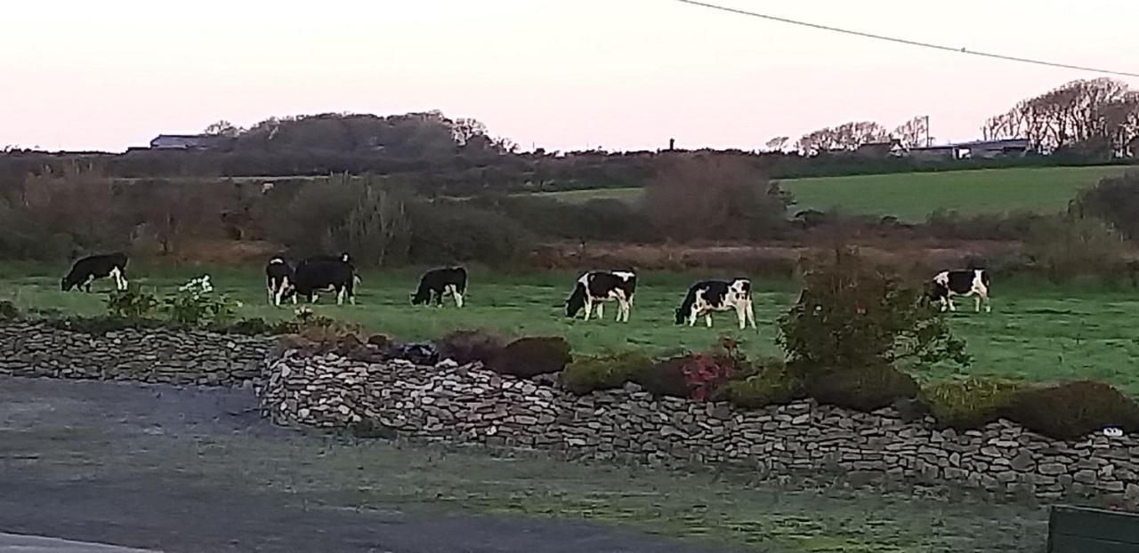Murphys Irish Farmhouse Tralee Buitenkant foto